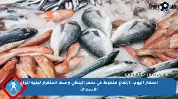 أسعار اليوم.. ارتفاع ملحوظ في سعر البلطي وسط استقرار لبقية أنواع الأسماك